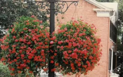 The Clark Foundation and Village of Cooperstown Beautification Contest