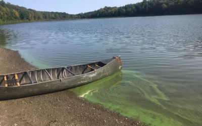 HABs monitoring and surveillanceefforts in New York State