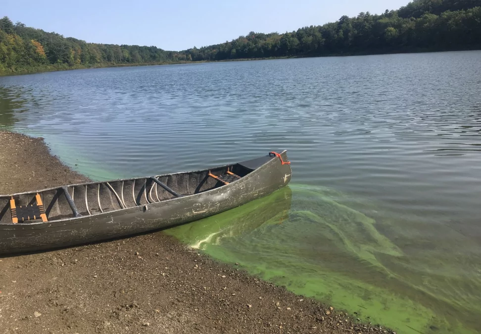 HABs monitoring and surveillanceefforts in New York State